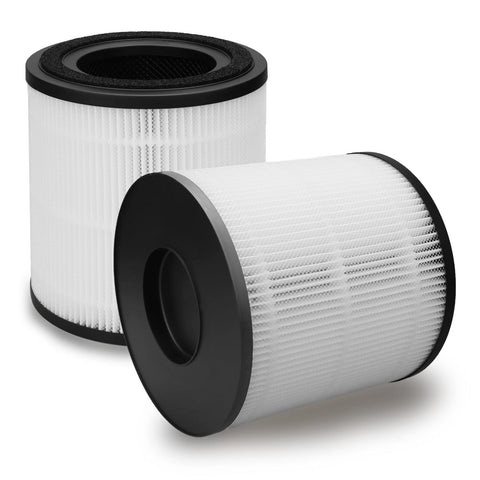 Aoydr 3139A filter replacement 2-pack for BISSELL MYair Pro