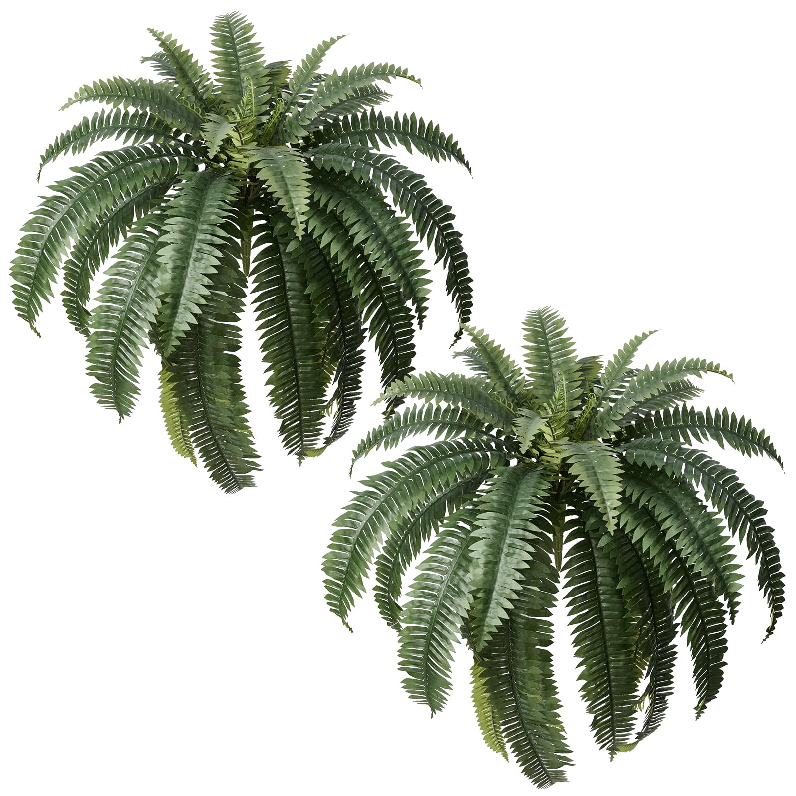 Apeair Boston fern pair in a 48-inch display adds lush, low-maintenance outdoor decor.