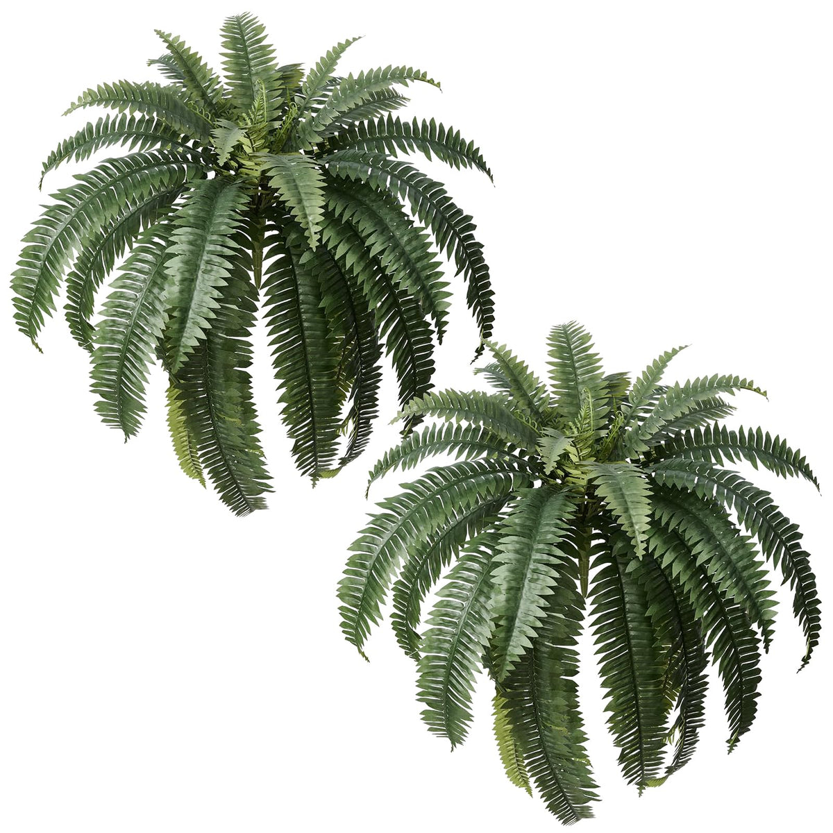 Apeair Boston fern pair in a 48-inch display adds lush, low-maintenance outdoor decor.