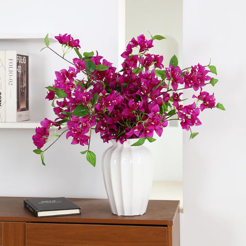 Apeair Bougainvillea office decor, easy to shape and maintain.