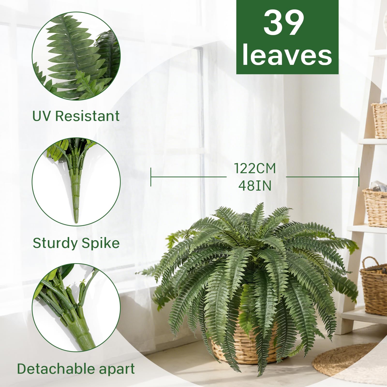 Apeair giant fern with 39 fronds creates lush indoor greenery.