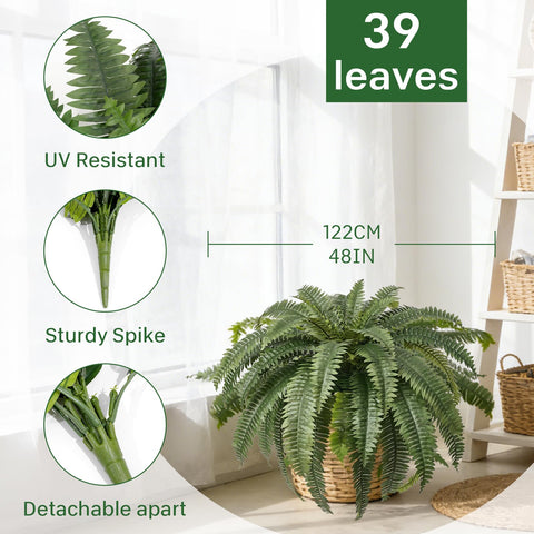 Apeair giant fern with 39 fronds creates lush indoor greenery.