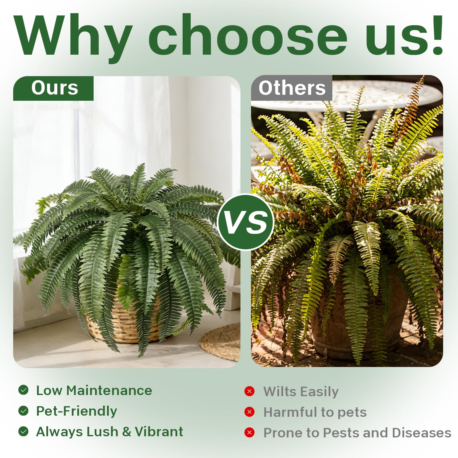Apeair UV-resistant fern stays vibrant under sun.