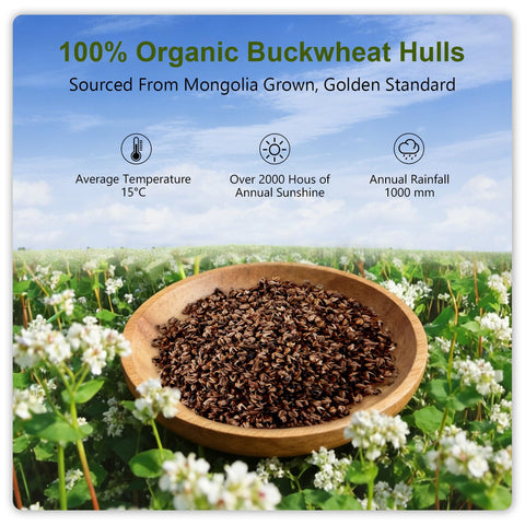 APOBUY 1lb extra buckwheat hulls for customizable pillow height.