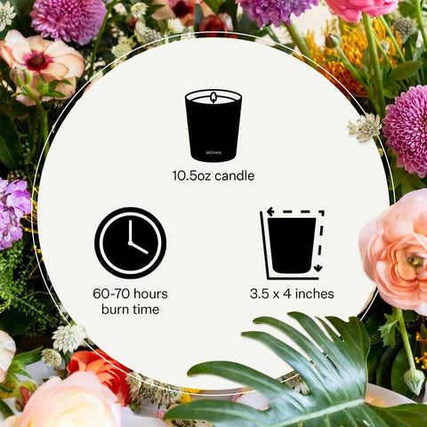 APOTHEKE Charcoal Classic Candle fragrance combines cedarwood and sandalwood for a cozy scent