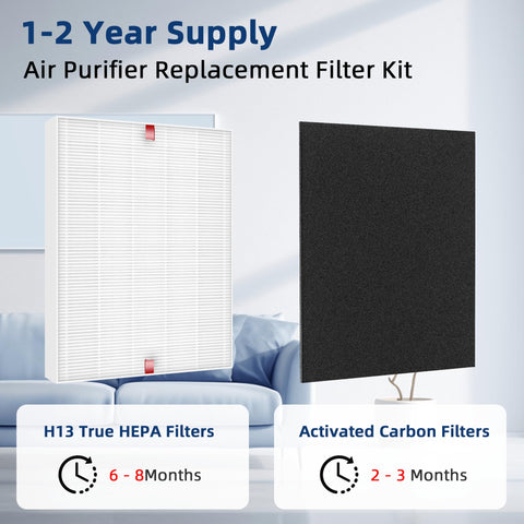 APPLIANCEMATES C545 packaged set with two HEPA and eight carbon filters