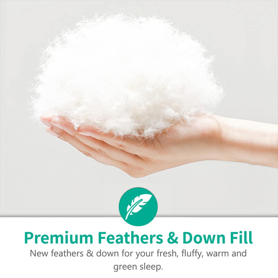 APSMILE Full/Queen 90x90 Ivory adds a clean, versatile look.