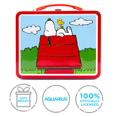 Aquarius Peanuts tin pairs with cards and keepsakes.