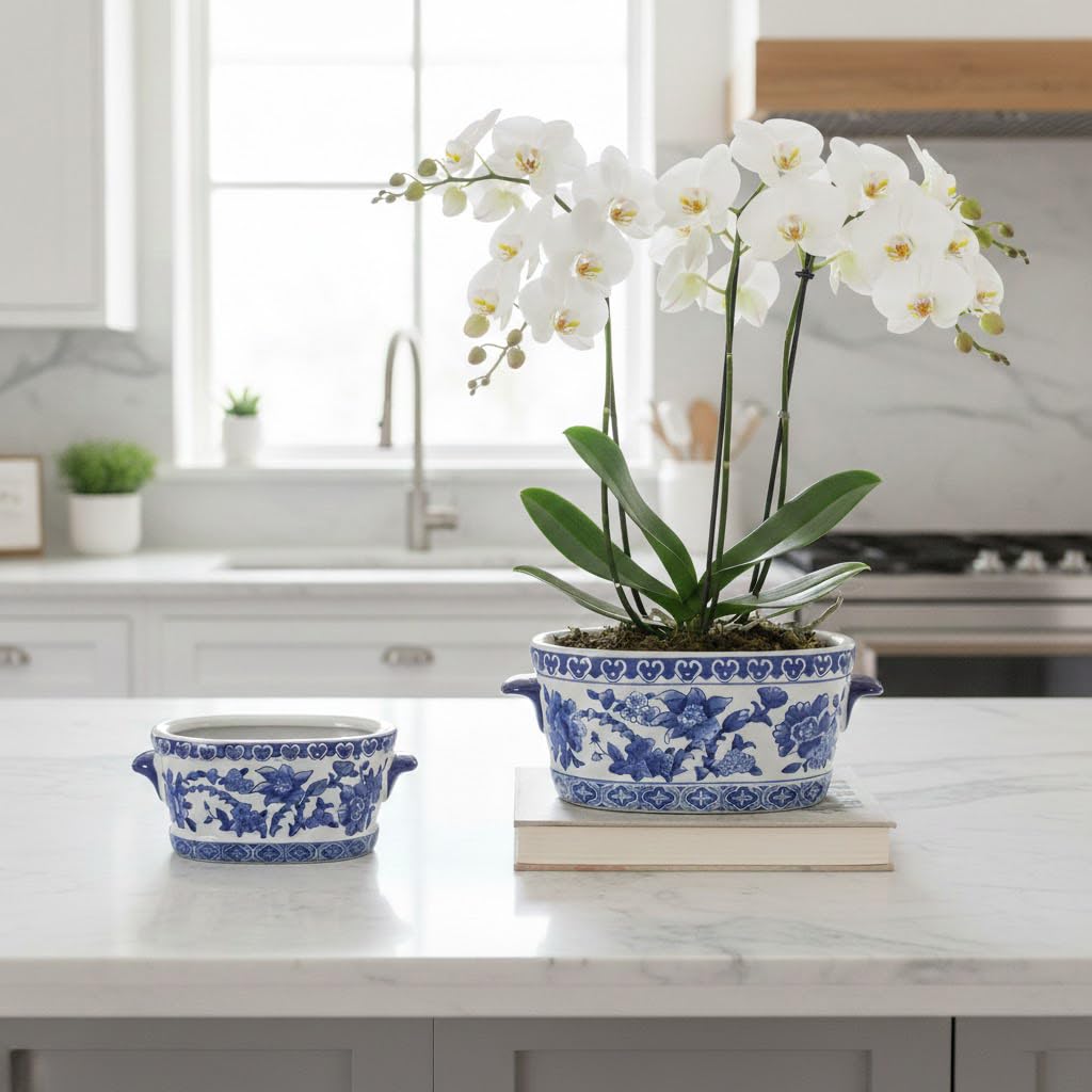 Arborus blue-and-white oval planter large complements orchids and statement plants.