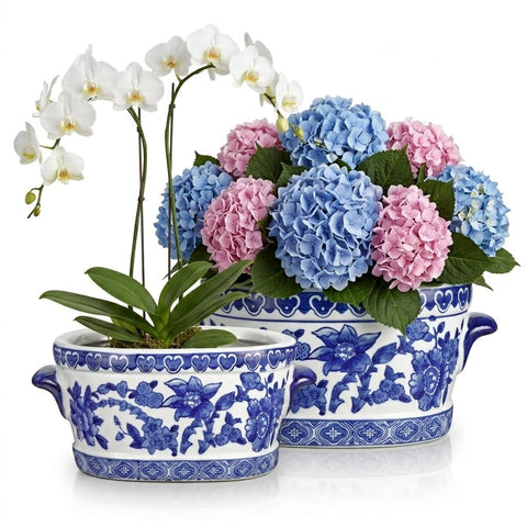 Arborus blue-and-white oval planter small with hand-painted florals for indoor greenery.