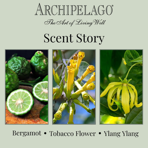 Gift-ready Archipelago Havana candle makes a thoughtful present for any home