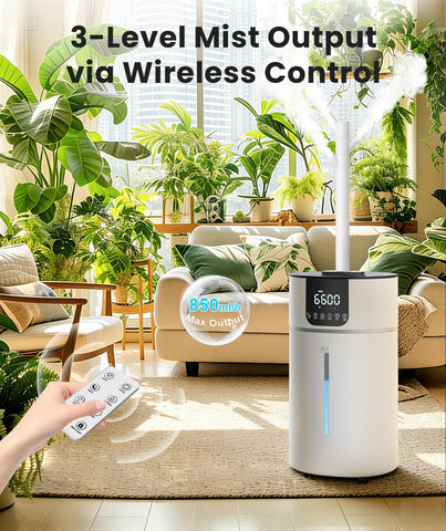 AreShark warm mist feature creates cozy ambience in winter evenings