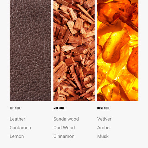 Aroma360 My Way cedar notes provide subtle woody richness in air.