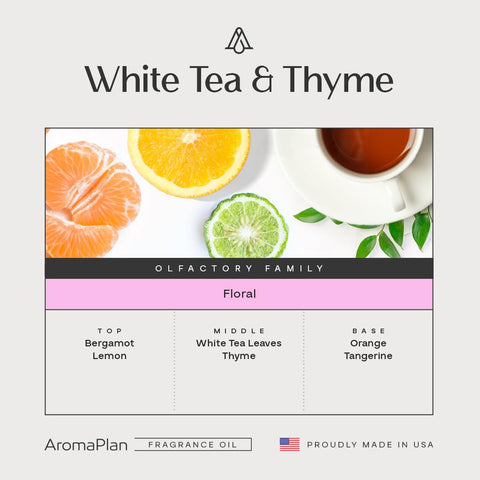 AROMAPLAN White Tea & Thyme diffuser setup showcasing luxurious fragrance for hotel-like ambiance.