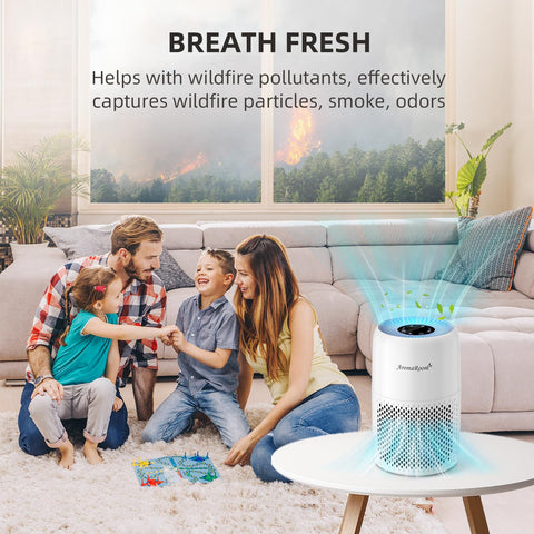 AromaRoom 3-in-1 design handles filtration, aroma pad, and ambient lighting.