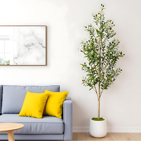 Artizone olive tree height fits tall spaces and grand interiors.