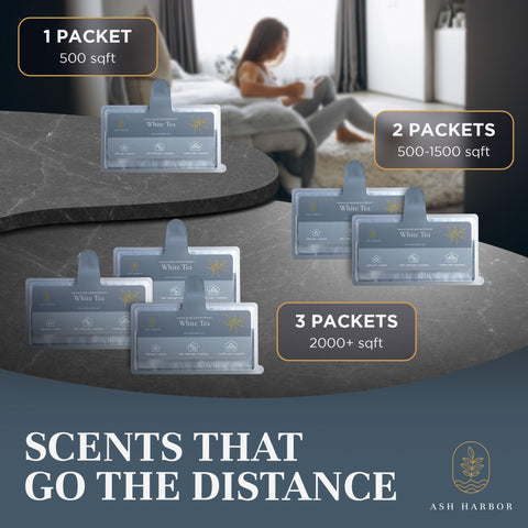 Ash Harbor office and home scent solution without sprays.
