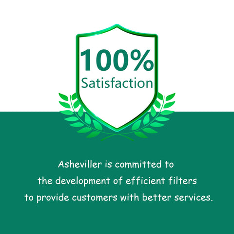 Asheviller AP300 compatible filter against smoke, dust and pollen carries practical use.