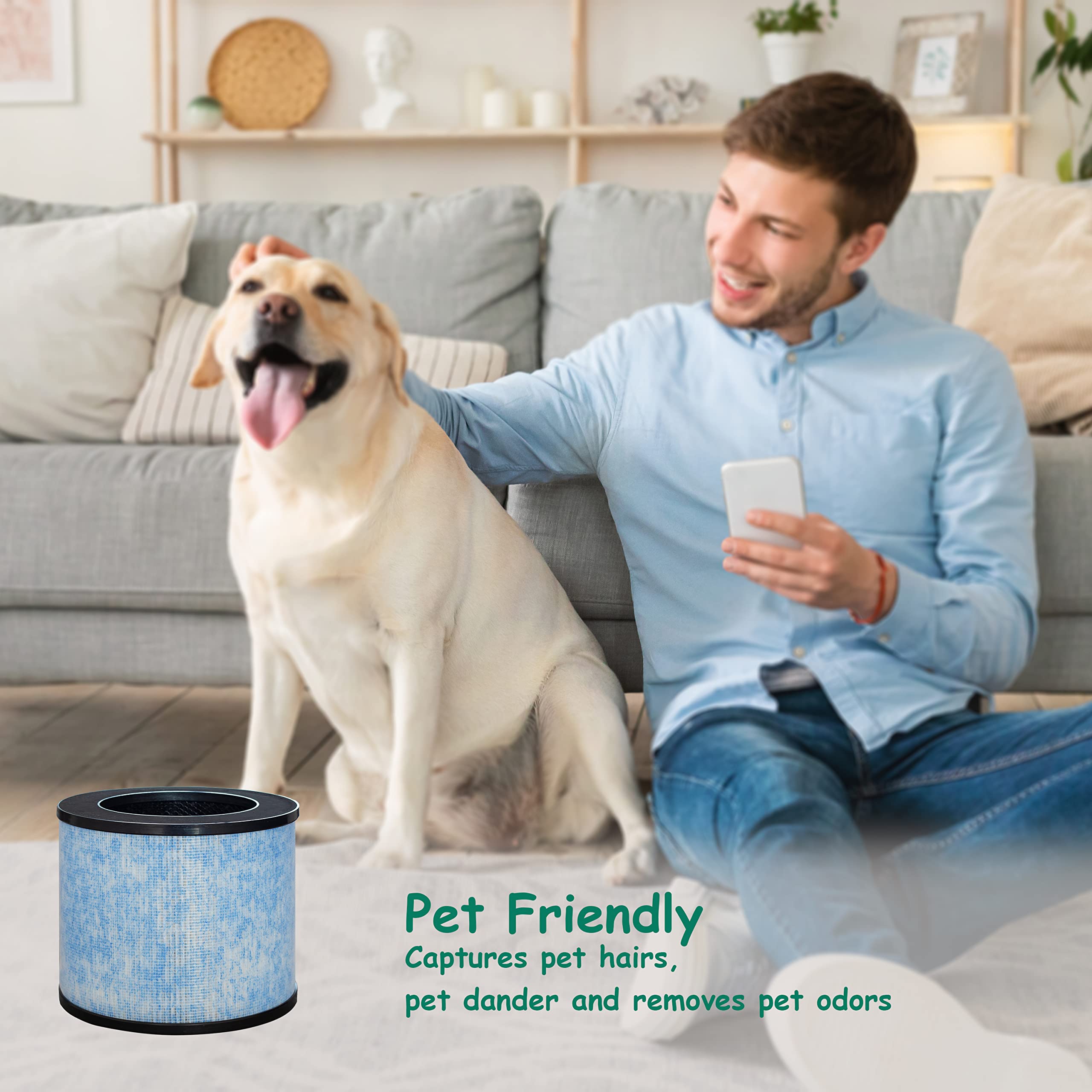 Asheviller F100 antimicrobial coating layer prevents surface growth, supporting air quality.