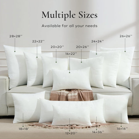 Ashler Square Cushion Shams Stuffer enhances sofa styling.