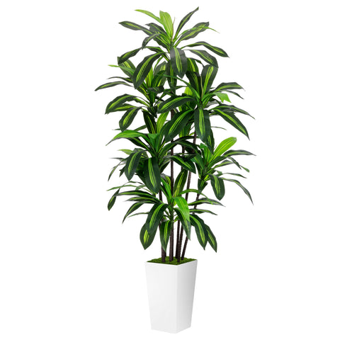 ASTIDY artificial dracaena 6ft tree with white planter adds lifelike greenery to any room