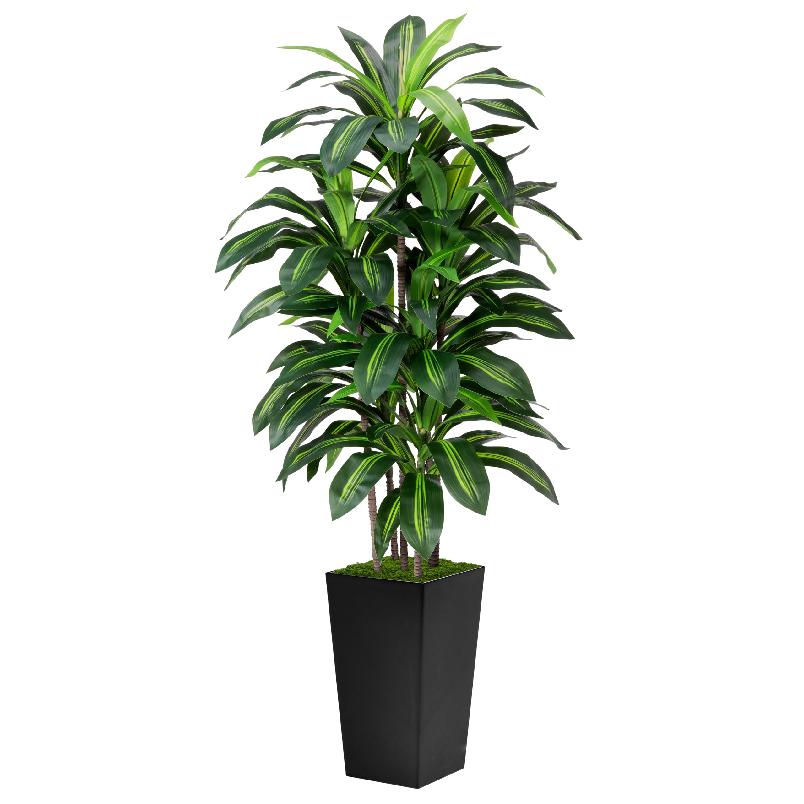 ASTIDY artificial Dracaena tree 5ft in black planter offers year-round greenery.