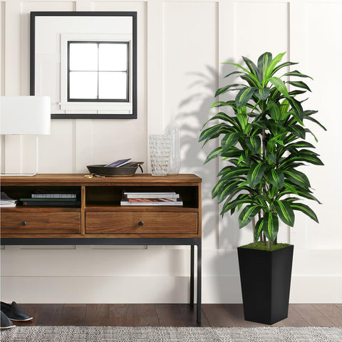 ASTIDY Dracaena tree in moss planter for a natural, ready-to-display look.