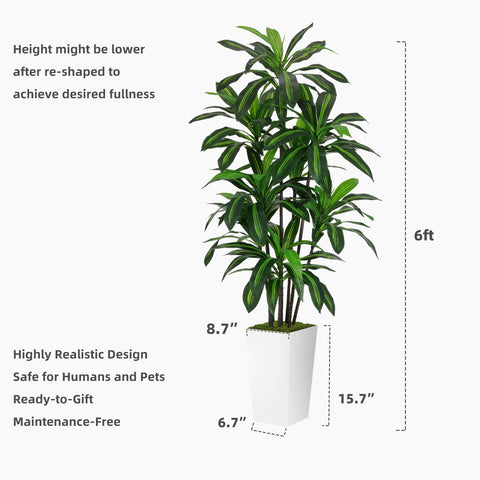 ASTIDY maintenance-free silk tree bringing evergreen ambiance indoors.