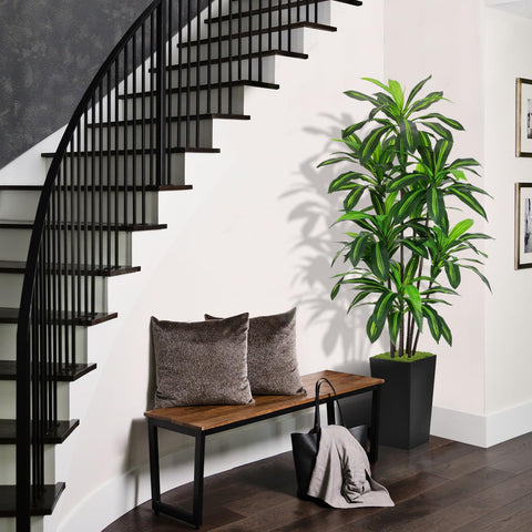 ASTIDY Dracaena tree in a black tall planter for a modern foyer.