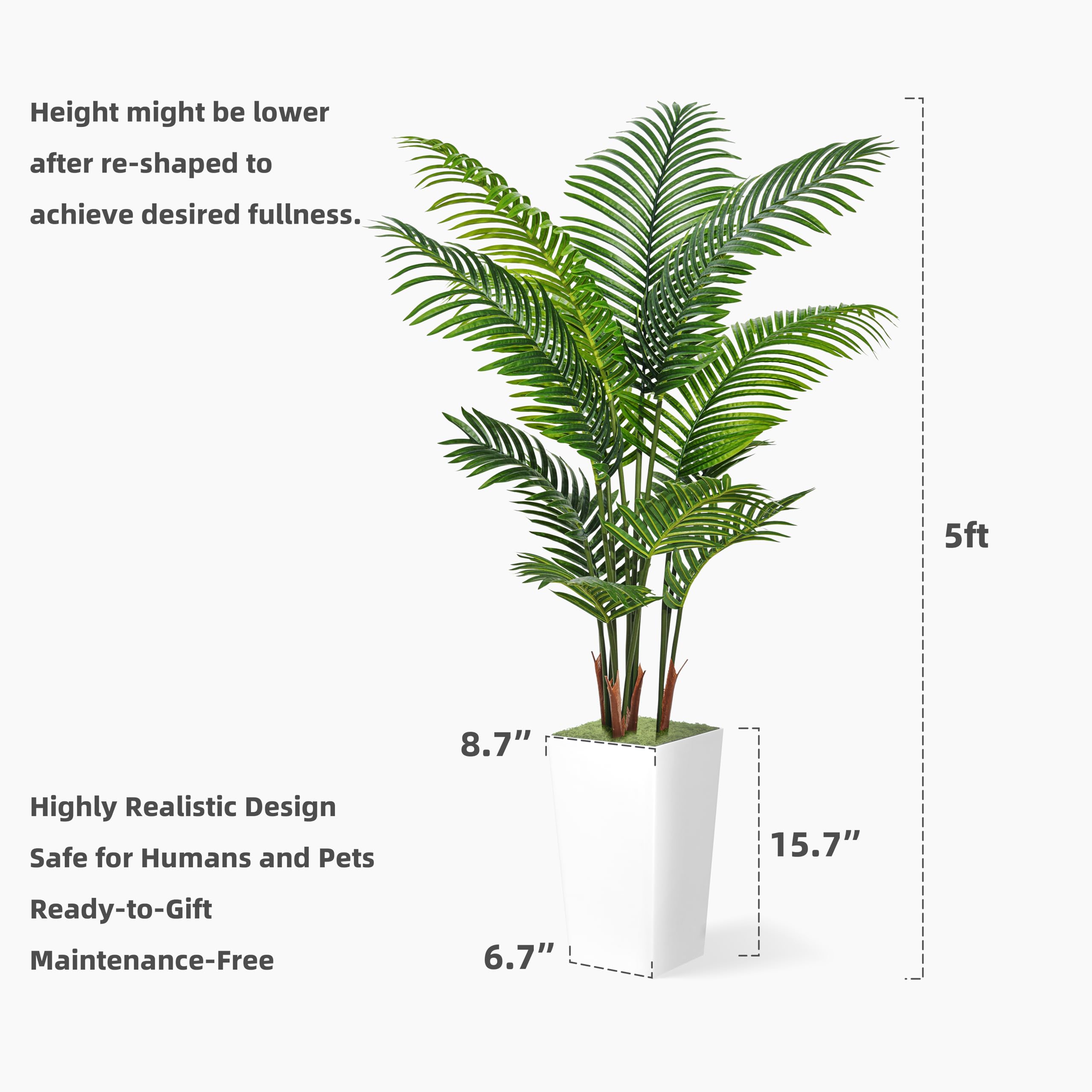 ASTIDY maintenance-free palm tree ideal for busy households and year-round greenery.