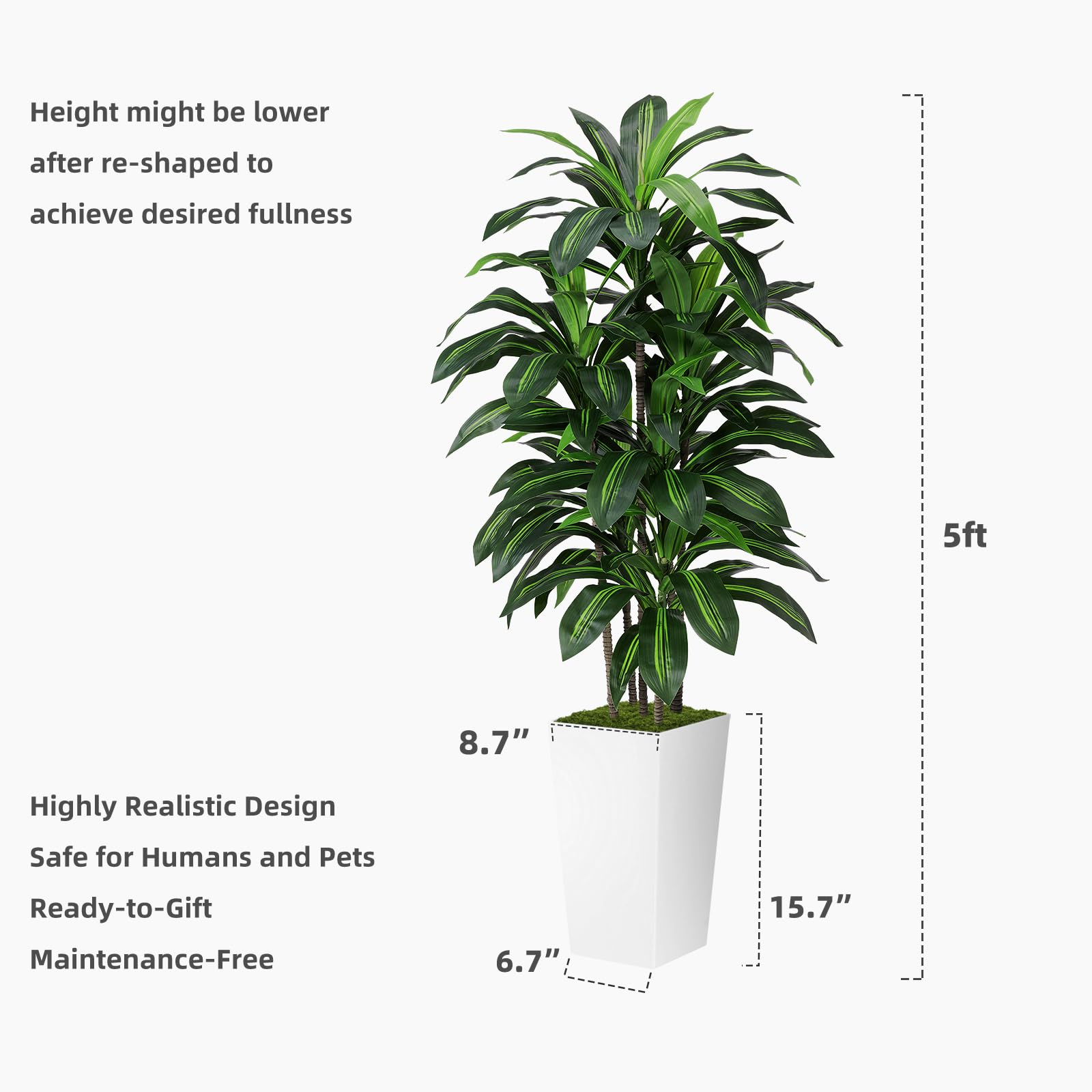 ASTIDY maintenance-free indoor tree offers lush appearance without upkeep