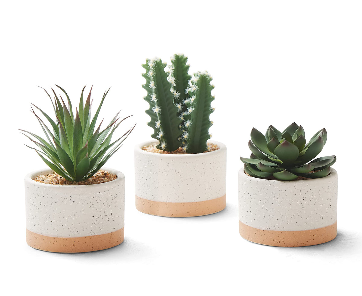 Astridia artificial succulent in ceramic pot closeup shows lifelike texture for realistic decor.