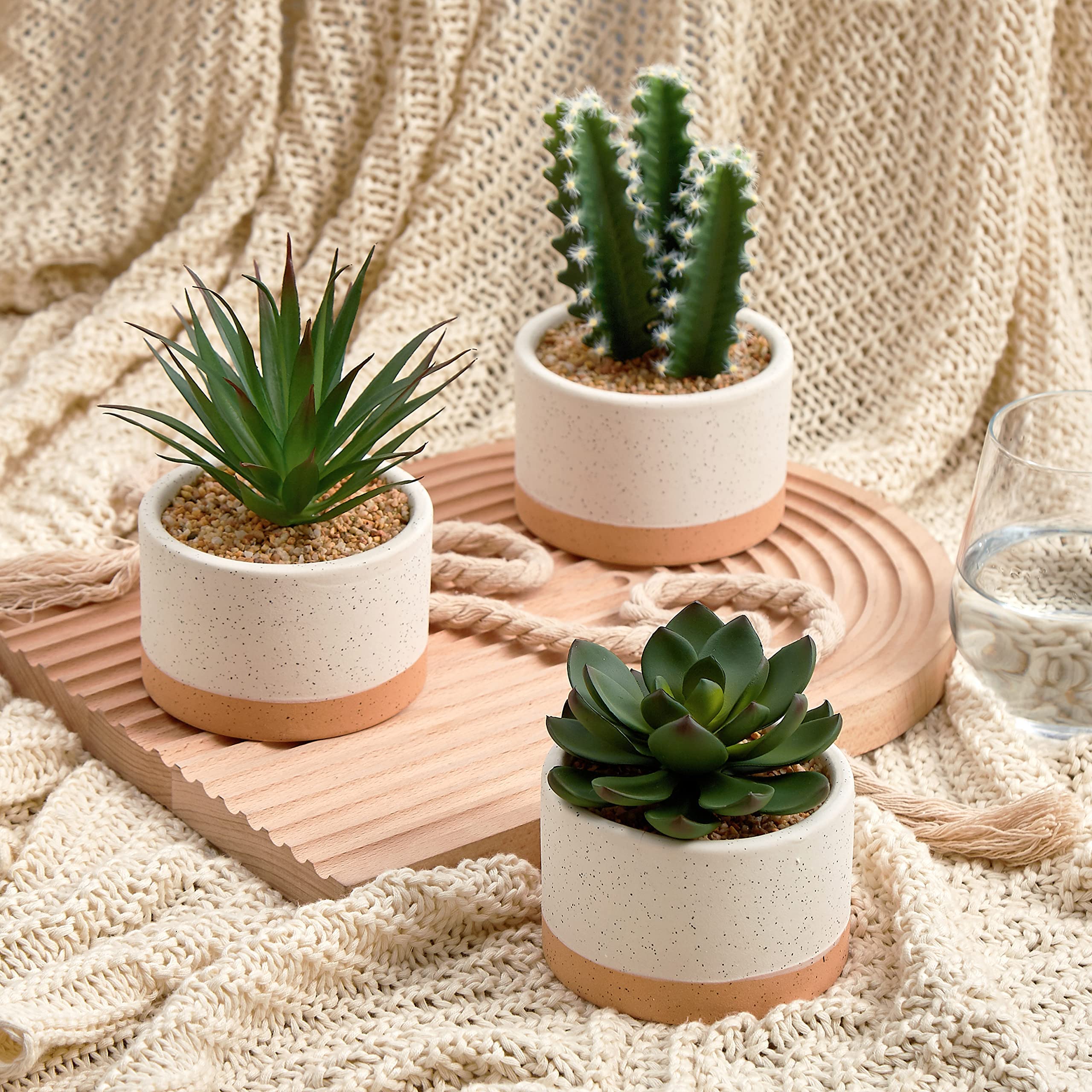 Astridia artificial succulent set of 3 on a desk enhances workspace without maintenance.