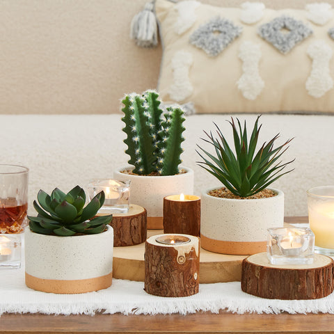 Astridia living room succulent display brightens shelves with realistic, fade-resistant charm.