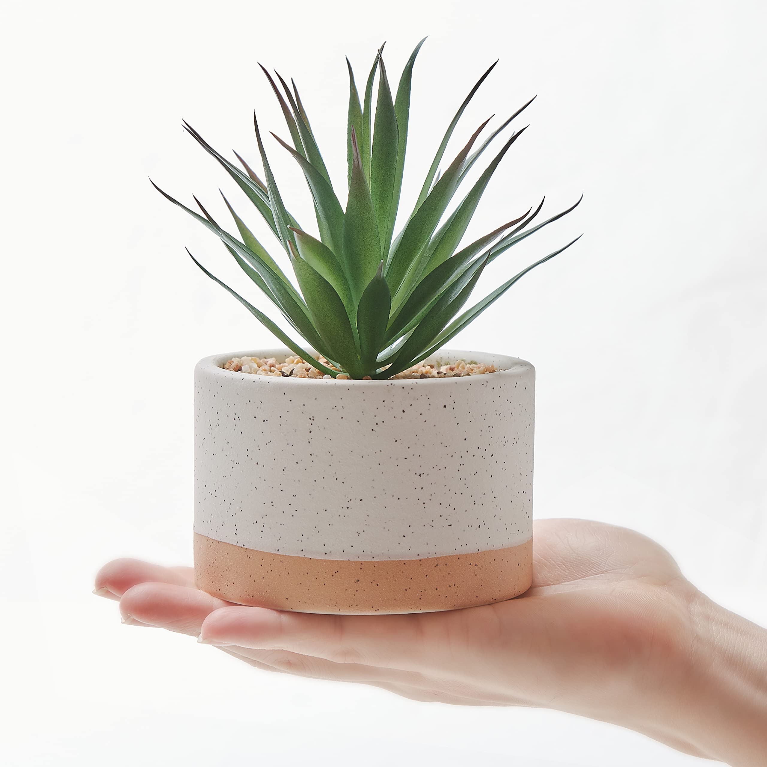 Astridia office desk succulent decor keeps a tidy, low-maintenance look for work areas.