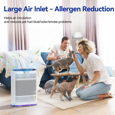 Aucleia air purifier in auto mode with air quality monitor adjusts purification.