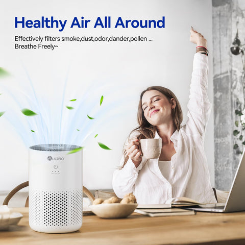 Aucleia air purifier with one-button control for easy use