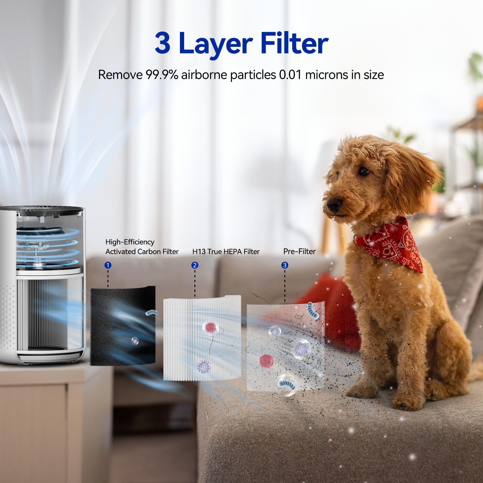 Aucleia purifier in sleep mode delivering near-silent purification
