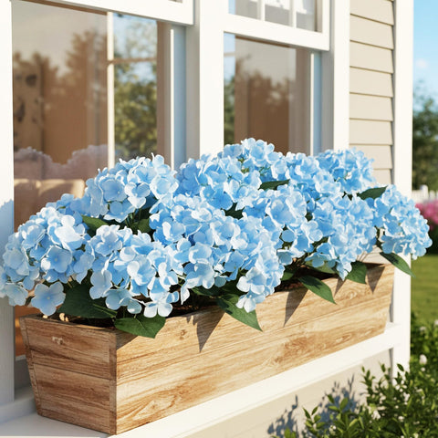 Auihiay hydrangea full bloom arrangement with lush form