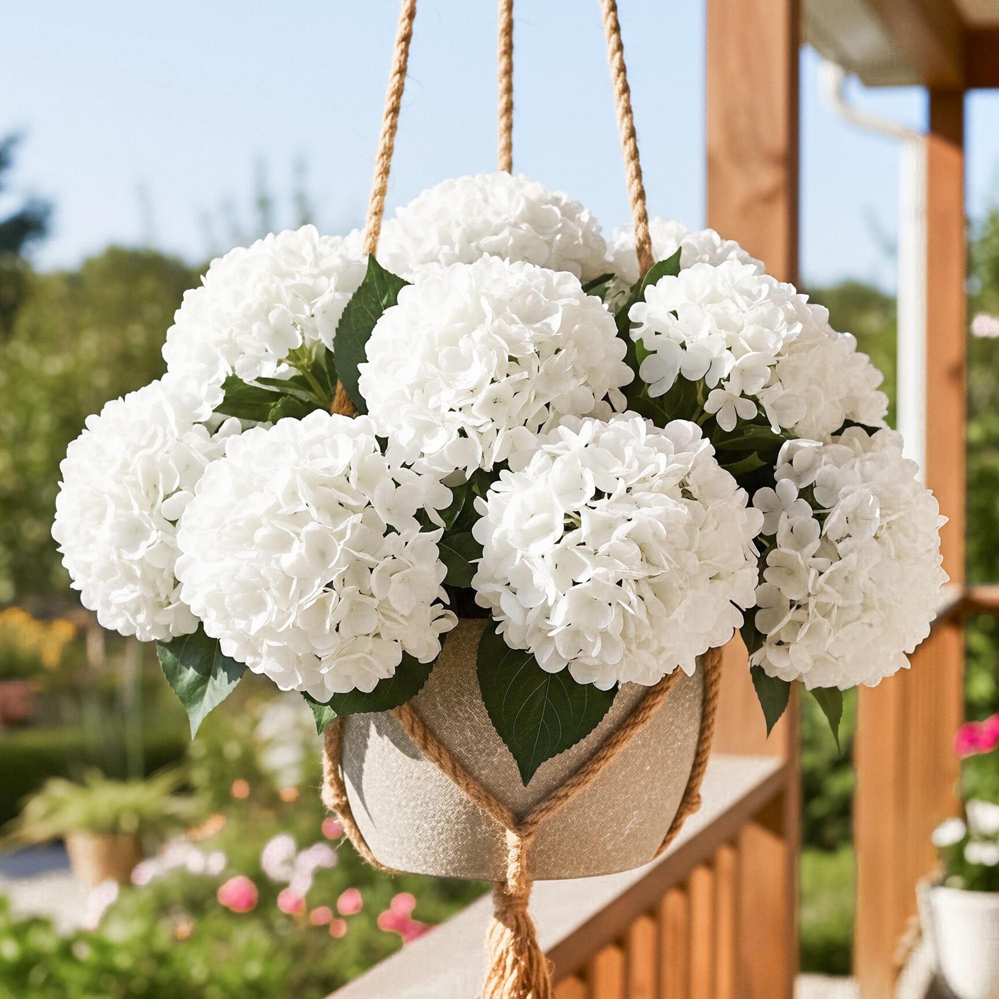 Auihiay hydrangea garden-border display for patio and yard spaces