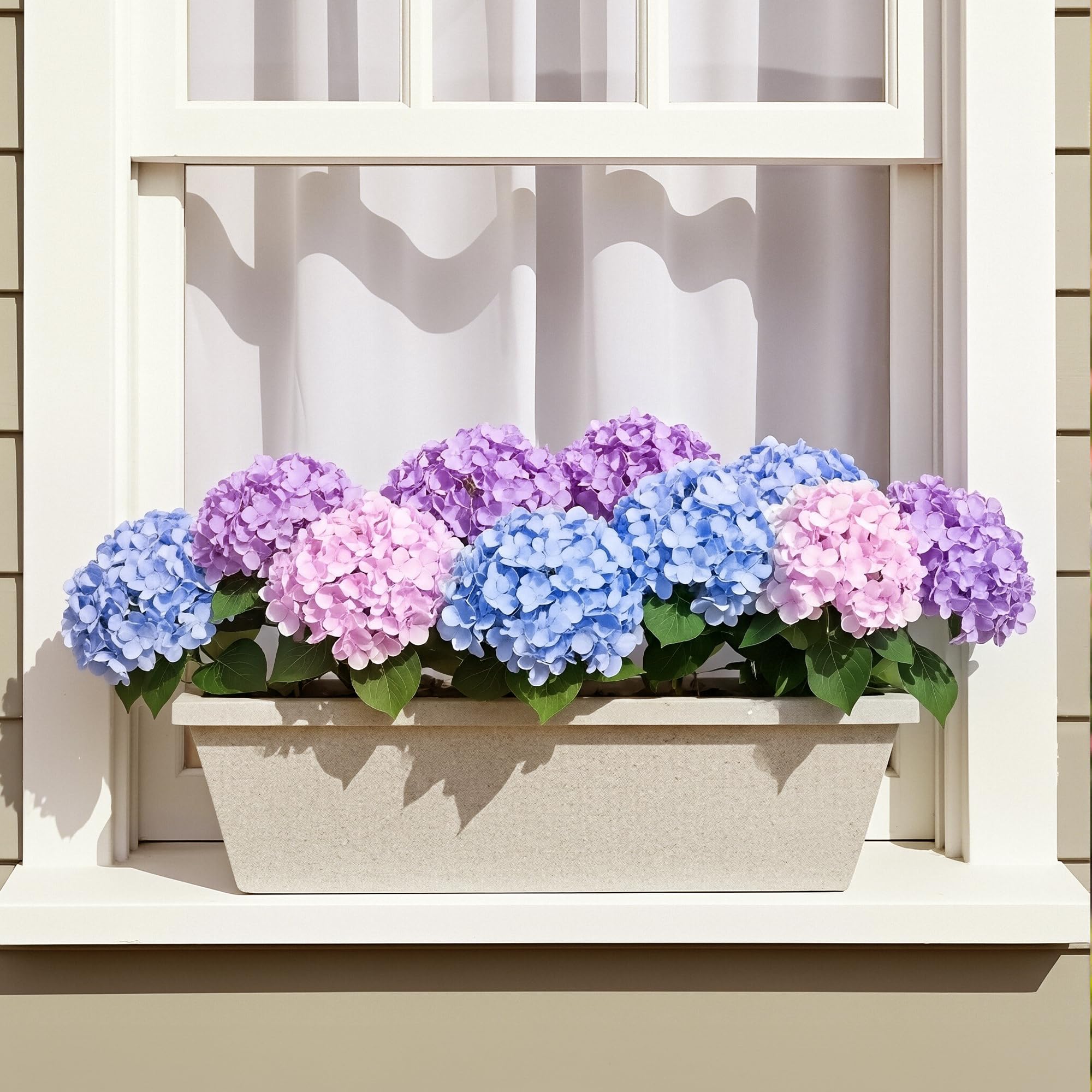 Auihiay zero-maintenance hydrangea set for garden or balcony