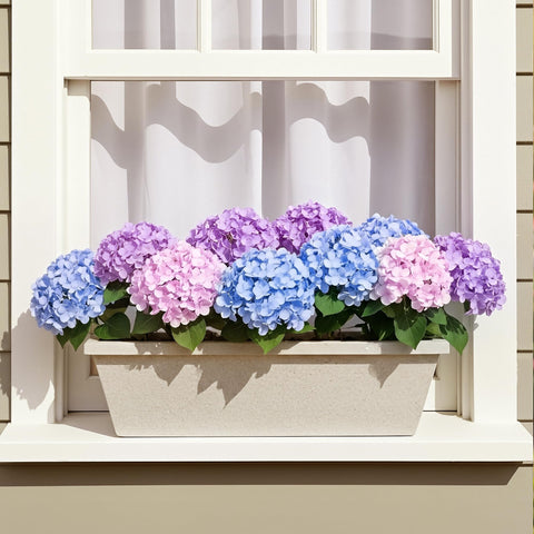 Auihiay zero-maintenance hydrangea set for garden or balcony