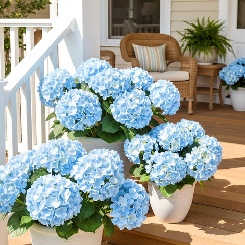 Auihiay hydrangea outdoor wedding decoration for events