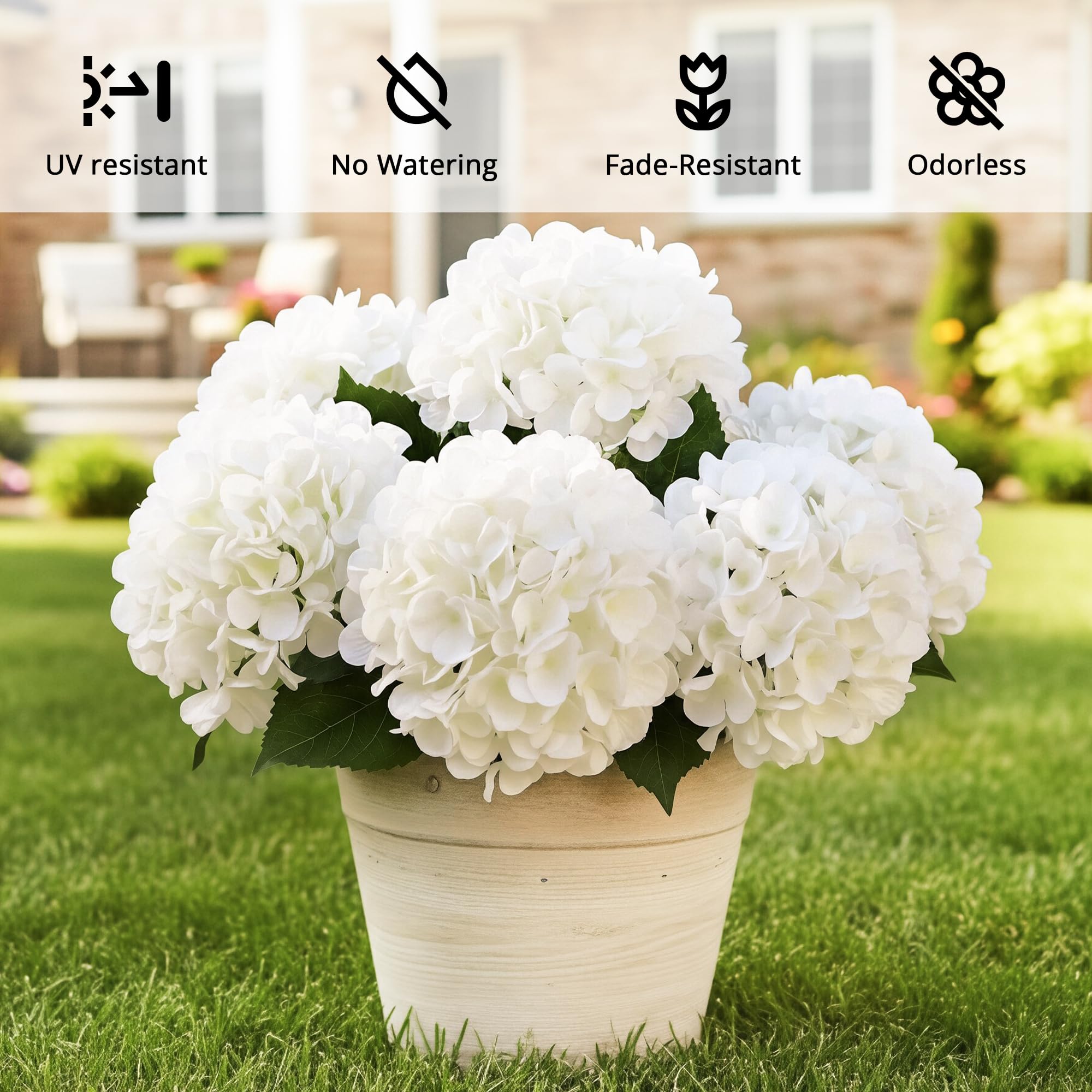 Auihiay white hydrangea stems arranged for window box beauty and year-round color