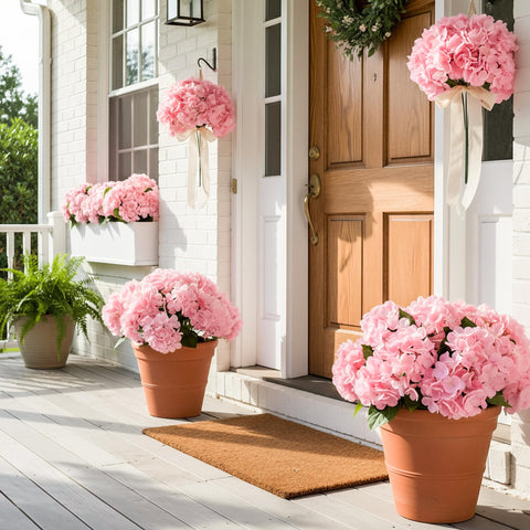 Auihiay hydrangea on outdoor porch for year-round color