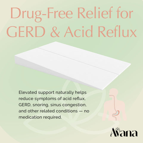 Avana Mattress Elevator queen-size assembly highlights seamless bed integration.