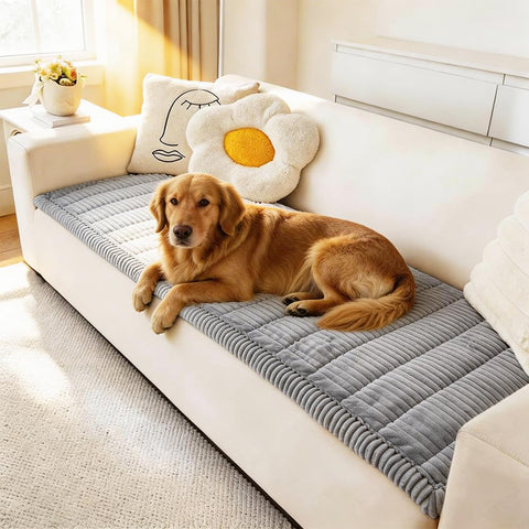 Awjcsv couch cover in light blue grey fabric protects a three cushion sofa with a soft touch