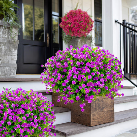 AXYLEX UV-resistant outdoor flowers maintain color in sun.