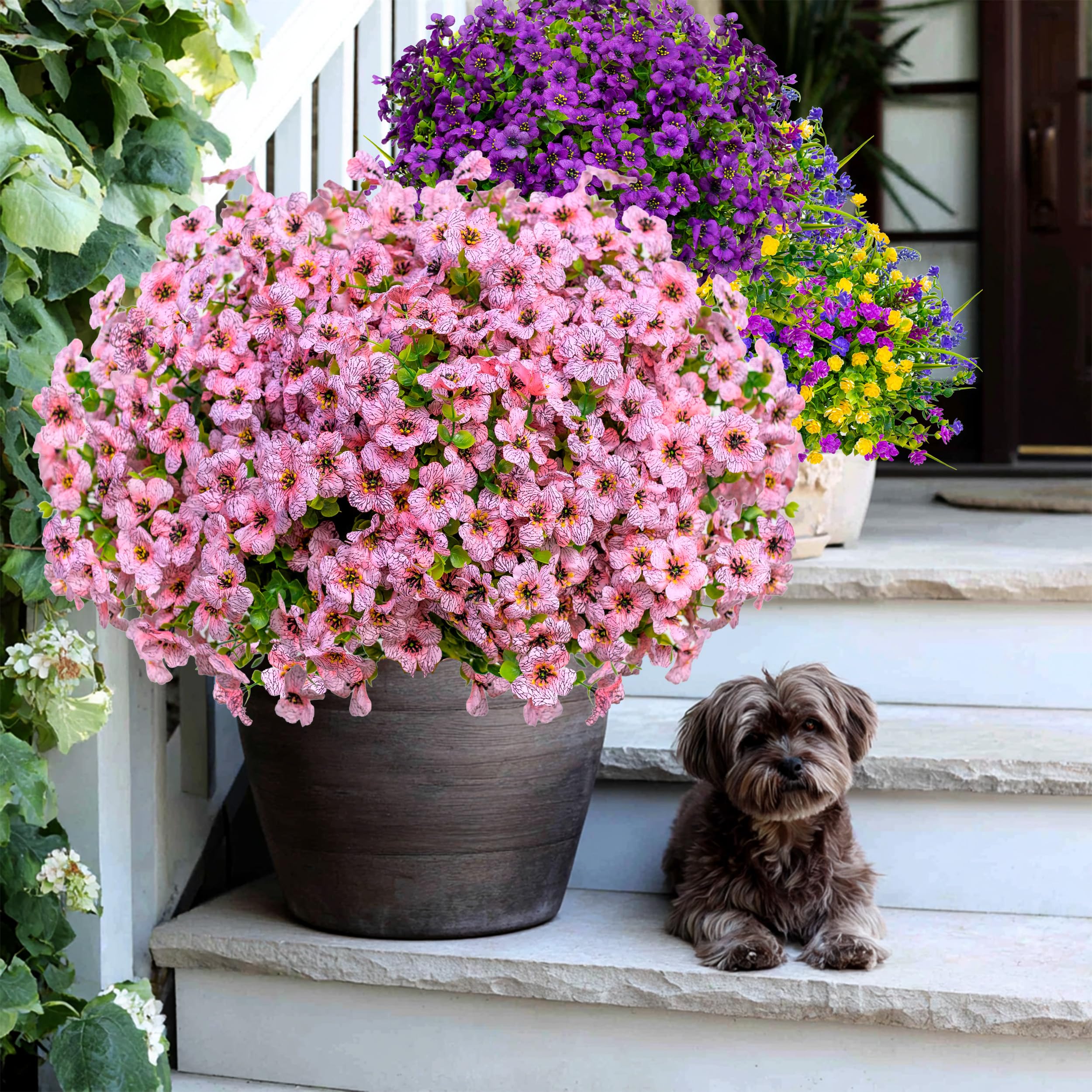 AXYLEX privacy-boosting flowers suitable for windows and patios.