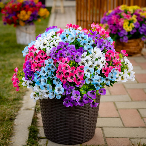 AXYLEX easy-care outdoor plants for veranda corners.